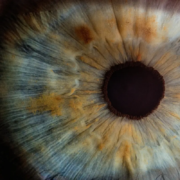 Corso - computer vision: dalle fondamenta alle applicazioni avanzate