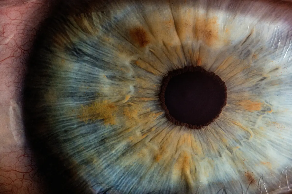 Corso - computer vision: dalle fondamenta alle applicazioni avanzate
