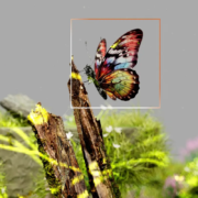 corso - natural language processing