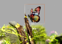 corso - natural language processing